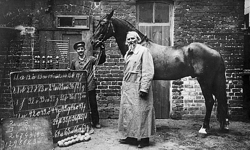 Historical photograph of Clever Hans with his trainer Wilhelm von Osten, showing the horse and trainer standing next to a blackboard with mathematical equations